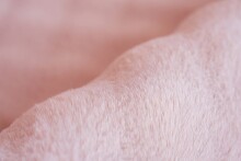 Teppich >Hailey< in Rosa, 100% Polyester - 230x160cm (LxB)