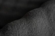 Teppich >Hailey< in Schwarz, 100% Polyester - 150x80cm (LxB)