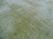 Teppich >Luxury< in Edelgrün, 100% Viskose - 290x200cm (LxB)