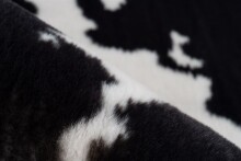 Teppich >Rabbit Animal< in Schwarz / Weiß, 100% Polyester - 230x160cm (LxB)