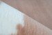 Teppich >Rabbit Animal< in Taupe / Weiß, 100% Polyester - 160x120cm (LxB)