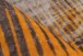 Teppich >Saphira< in Gelb, 100% Polyester - 170x120cm (LxB)