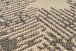 Teppich >Splash< in Creme / Braun, 100% Polypropylen - 290x200cm (LxB)