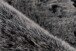 Teppich >Tender< in Anthrazit, 50% Modacryl / 50% Polyester - 150x80cm (LxB)