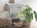 Flechtkorb >Gaute< in Grau, Rattan - 50x30x50cm (BxHxT)