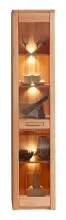 Standvitrine >Nature One< 1 Tür, mit LED, FSC,...
