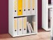 Jalousieschrank >Organizer< 4 Fächer, Ordnerhöhe, weiß matt / graphit - 45x164x40 (BxHxT)