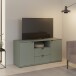 TV-Schrank >GANYMEDE< 2 Türen, 2 Schübe, 1 Fach, salbeifarbig - 129,8x63,1x41,3cm (BxHxT)