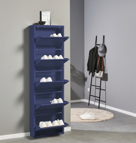 Schuhkipper >Bert< 5 Klappen, 10 paar Schuhe, in blau, Metall