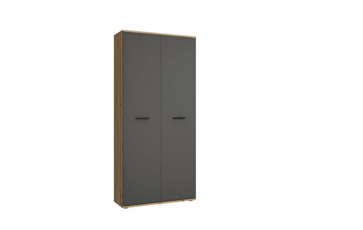 Schuhschrank >Leon< 2 Türen + Schübe, 9 Böden, Eiche Dekor / Anthrazit - 90x195x38cm BxHxT