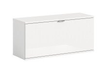 Hängeschrank >Projekt X< stehend oder...