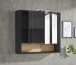 Badezimmerspiegelschrank >Liguria< in Anthrazit / Evoke Eiche - 80x72x21 (BxHxT)