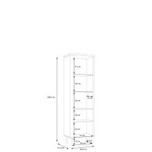 Stauraumvitrine >LACETTI< in Valencia Eiche Dekor / sandfarbig - 60,4x200,5x41,2 (BxHxT)