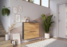 Schuhkipper >GW-WILDOMAR< hängend / stehend,...