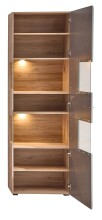Wohnwand >Kathlin< (4-teilig) in schilfgrün / Eiche Dekor - 325x205x47cm (BxHxT)