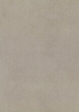 Polsterbett >San Remo mit BK< Liegefläche 180x200cm, beige, Stellmaß: 190x120x215cm (BxHxT)
