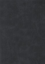 Polsterbett >San Remo mit BK< Liegefläche 160x200cm, anthrazit, Stellmaß: 170x120x215cm (BxHxT)