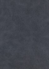 Polsterbett >San Remo mit BK< Liegefläche 160x200cm, taubenblau, Stellmaß: 170x120x215cm (BxHxT)