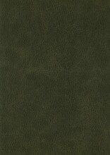 Polsterbett >San Remo mit BK< Liegefläche 180x200cm, grün, Stellmaß: 190x120x215cm (BxHxT)