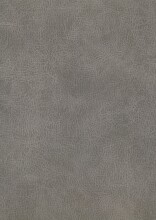 Polsterbett >San Remo mit BK< Liegefläche 160x200cm, hellgrau, Stellmaß: 170x120x215cm (BxHxT)