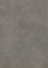 Polsterbett >San Remo mit BK< Liegefläche 160x200cm, hellgrau, Stellmaß: 170x120x215cm (BxHxT)