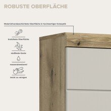 Hängeschrank >Scout< in Evoak Oak / Kaschmir - 74x79x24cm (BxHxT)