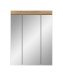 Badezimmerspiegelschrank >Scout< in Evoak Oak / Spiegel - 60x79x18cm (BxHxT)
