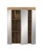 Badezimmerspiegelschrank >Scout< in Evoak Oak / Spiegel - 60x79x18cm (BxHxT)