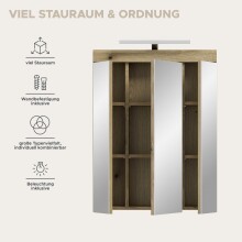 Spiegelschrank >Scout< in Evoak Oak / Spiegel - 60x79x18cm (BxHxT)
