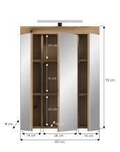 Spiegelschrank >Scout< in Evoak Oak / Spiegel - 60x79x18cm (BxHxT)
