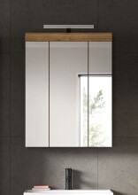 Spiegelschrank >Scout< in Evoak Oak / Spiegel - 60x79x18cm (BxHxT)