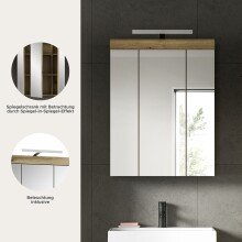 Spiegelschrank >Scout< in Evoak Oak / Spiegel - 60x79x18cm (BxHxT)