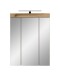 Spiegelschrank >Scout< in Evoak Oak / Spiegel - 60x79x18cm (BxHxT)