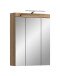 Spiegelschrank >Scout< in Evoak Oak / Spiegel - 60x79x18cm (BxHxT)