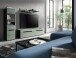 Wohnwand >Canu< in Basalt Grau / Smoke Green - 221x141x33cm (BxHxT)