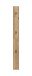 Garderobenpaneel >Naro< in Evoke Oak - 15x160x2cm (BxHxT)