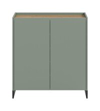 Schuhkommode >Drive< in Salbei - 97x90x38cm (BxHxT)