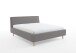 Polsterbett >Frieda mit BK< Liegefläche 180x200 cm, hellgrau, Stellmaß: 196x105x224cm (BxHxT)