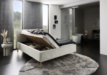 Polsterbett >Riva mit BK< Liegefläche 180x200 cm, Greige, Stellmaß: 205x112x216cm (BxHxT)