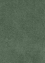 Polsterbett >Lizzano mit BK< Liegefläche 160x200cm, grün, Stellmaß: 178x115x219cm (BxHxT)