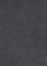 Polsterbett >Lizzano mit BK< Liegefläche 180x200cm, anthrazit, Stellmaß: 198x115x219cm (BxHxT)