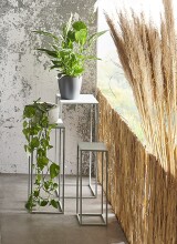 Blumentisch >54187< (3-teilig) in grau (Coolgrey), Metall - 18x50x18cm (BxHxT)