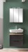 Badezimmer-Set >Lyon< (2-tlg.) in matt-grau, Graphitgrau - 60x195x35cm (BxHxT)