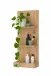 Ablageregal >Coco< in Asteiche Dekor, Holzwerkstoff - 40x90x16cm (BxHxT)