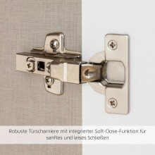 Kombikommode >Aditio Box< in Eiche Artisan Dekor - 120x92x44 (BxHxT)