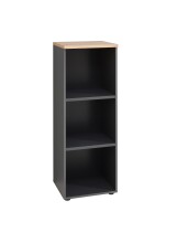 Aktenregal >Memphis< in Artisan Eiche Dekor /...