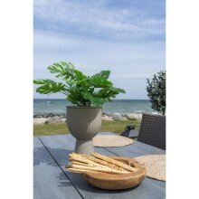Dekoschale >Rio< in Teak, Massivholz - 30x10x30cm...