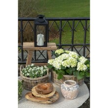 Dekoschale >Rio< in Teak, Massivholz - 40x12x40cm...