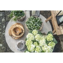 Dekoschale >Rio< in Teak, Massivholz - 40x12x40cm (BxHxT)