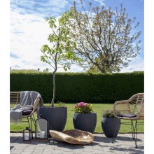 Dekoschale >Rio< in Teak, Massivholz - 60x17x60cm (BxHxT)